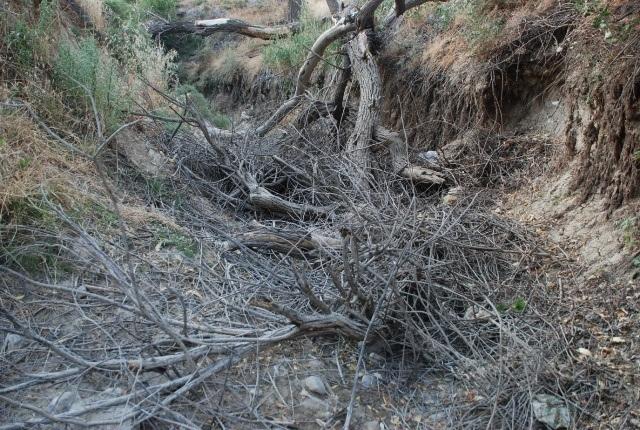 جویی که هزاران سال از برم دلک آب به روستاهای پایین دست می‌برد.